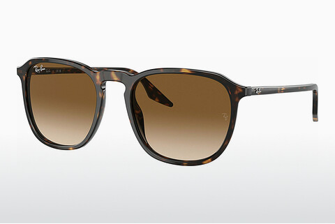Zonnebril Ray-Ban RB2203 902/51