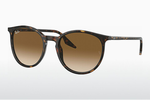 Zonnebril Ray-Ban RB2204 902/51