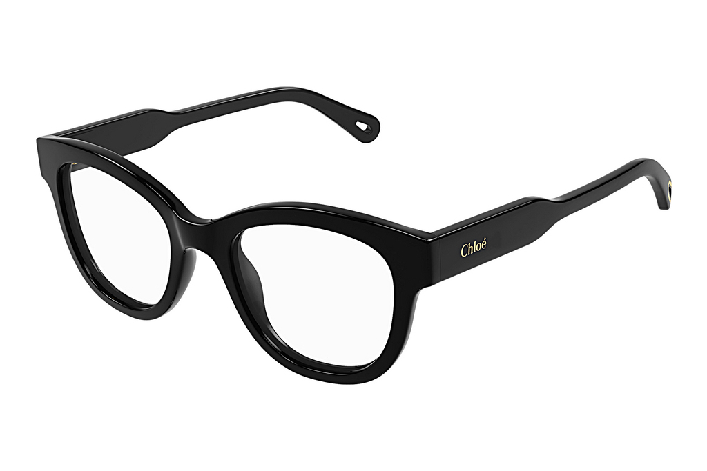 Chloé   CH0162O 005 BLACK