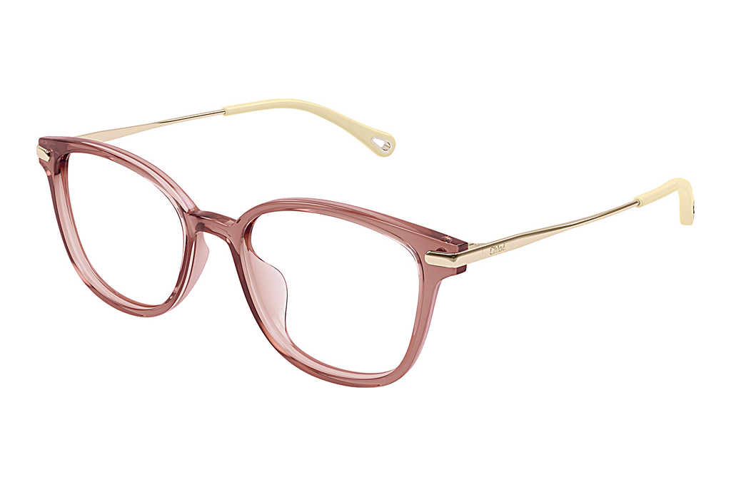 Chloé   CH0219OA 003 BROWN