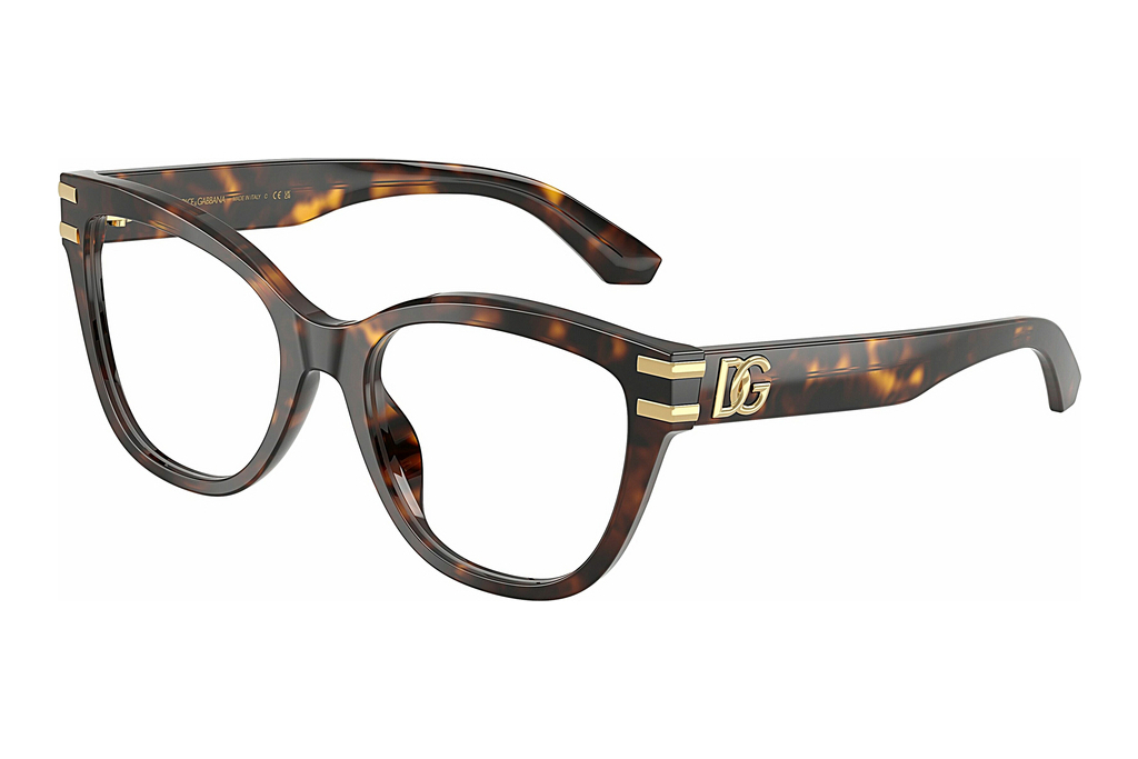 Dolce & Gabbana   DG3418 502 Havana