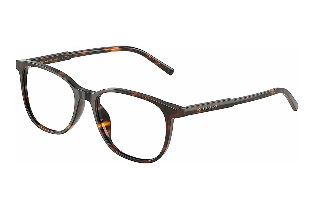 Dolce & Gabbana   DG3426 502 Havana