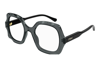 Chloé CH0228O 001 GREY