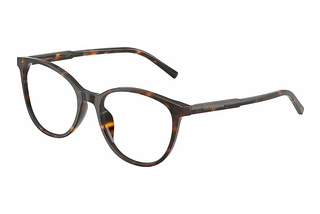 Dolce & Gabbana DG3425 502 Havana