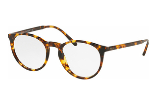 Polo PH2193 5249 Shiny Antique Tortoise