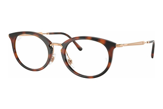 Ray-Ban RX7255 5687 Striped Havana