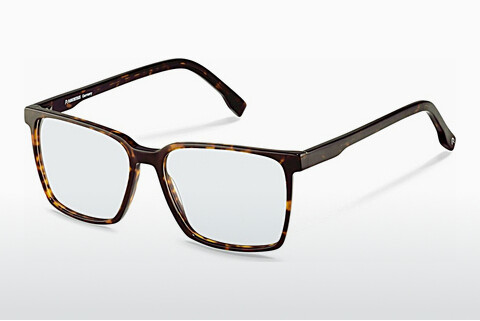 Bril Rodenstock R5355 B000