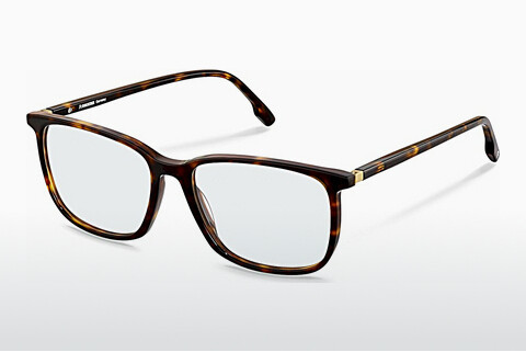 Bril Rodenstock R5360 B000