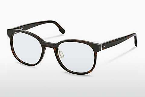 Bril Rodenstock R5373 B000