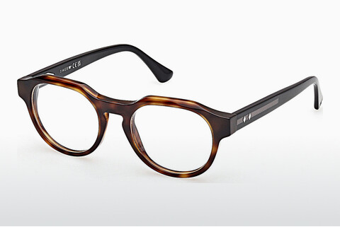 Bril Web Eyewear WE5421 055