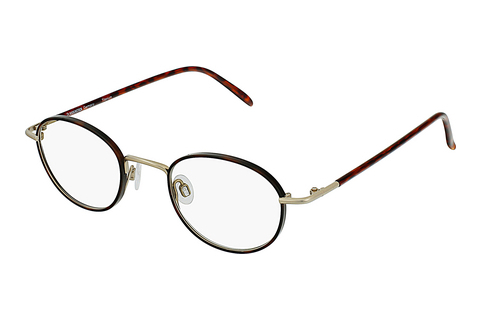 Bril Rodenstock R2288 B