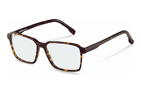 Bril Rodenstock R5354 B000