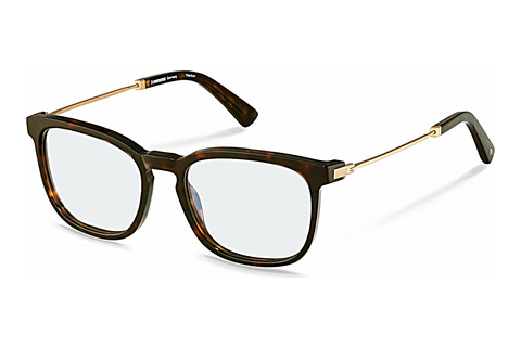 Bril Rodenstock R8029 B000