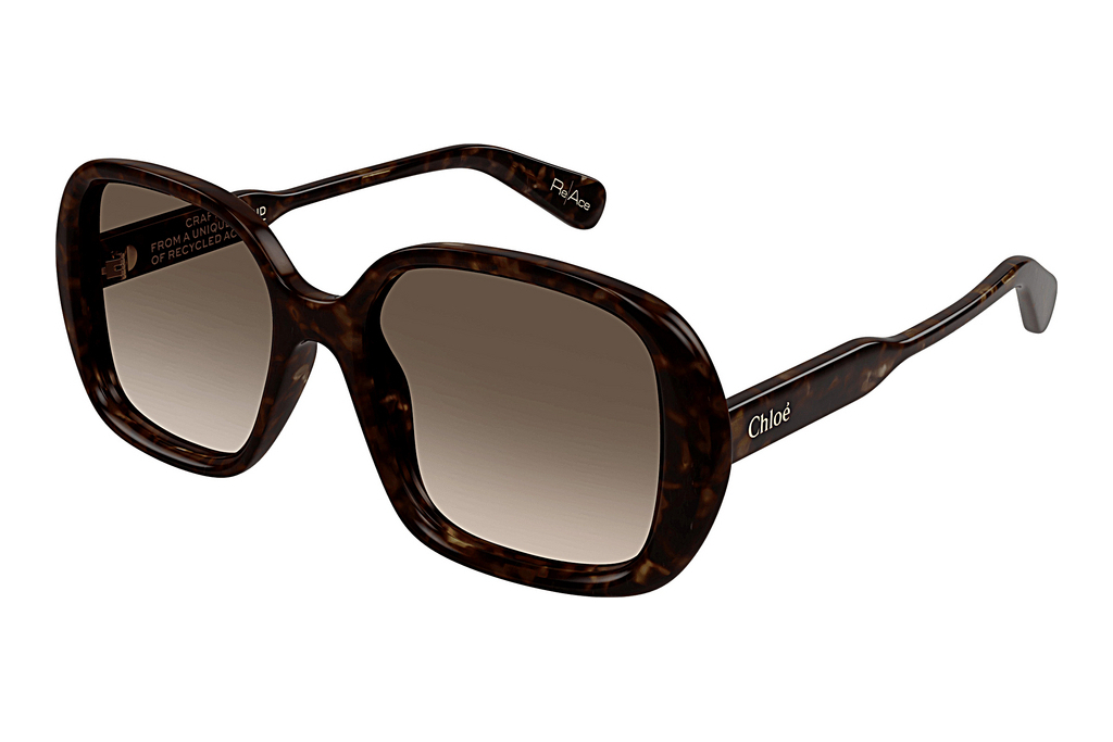 Chloé   CH0222S 002 HAVANA