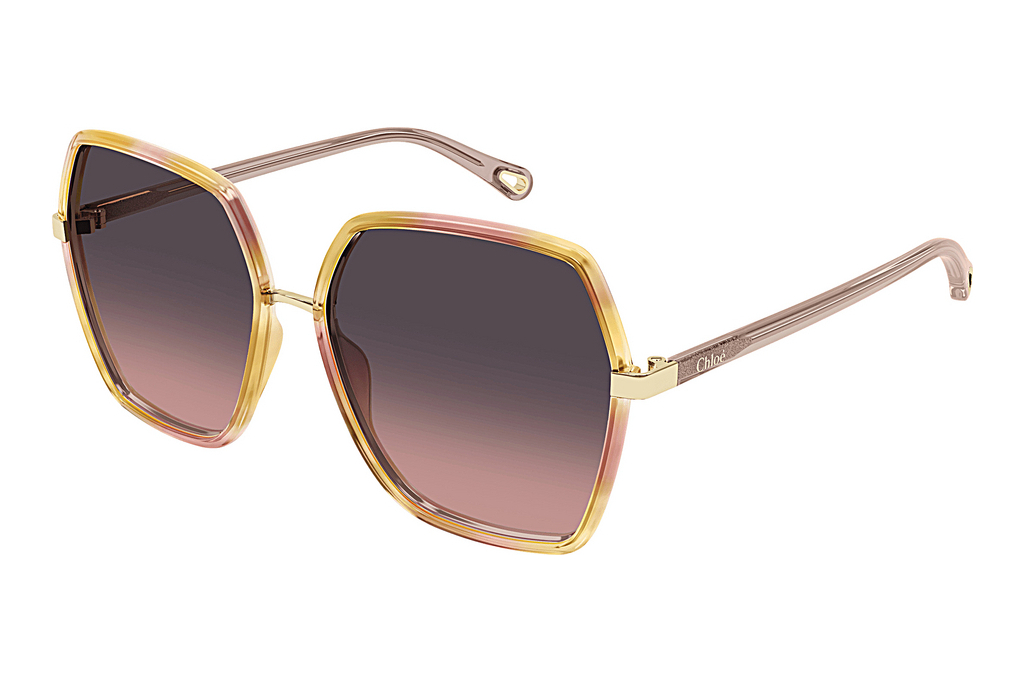 Chloé   CH0262S 003 HAVANA