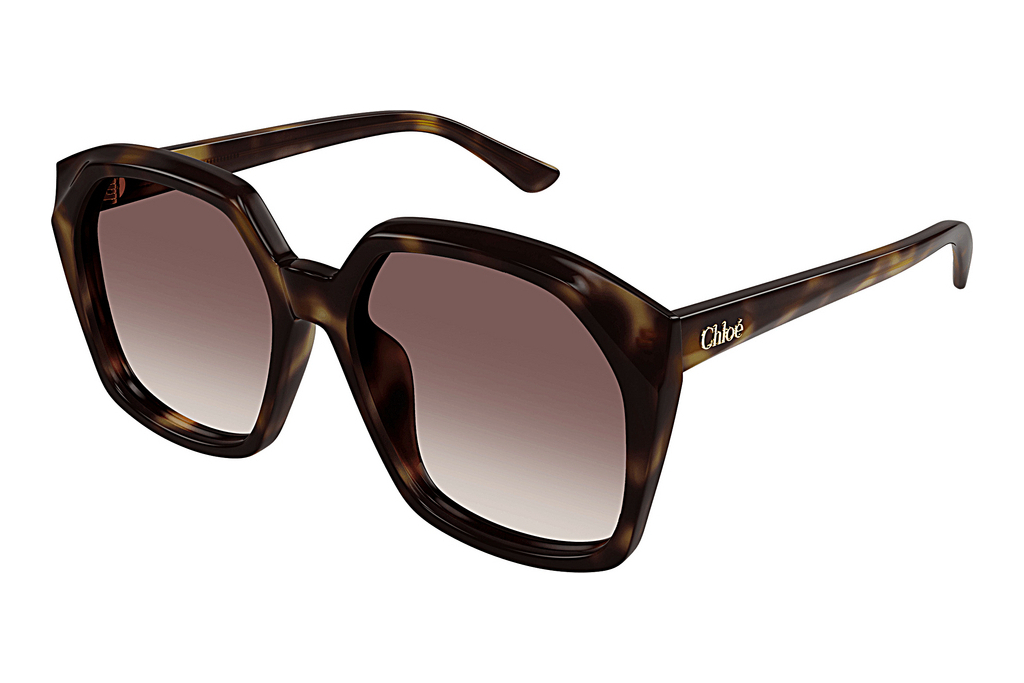 Chloé   CH0280S 006 HAVANA