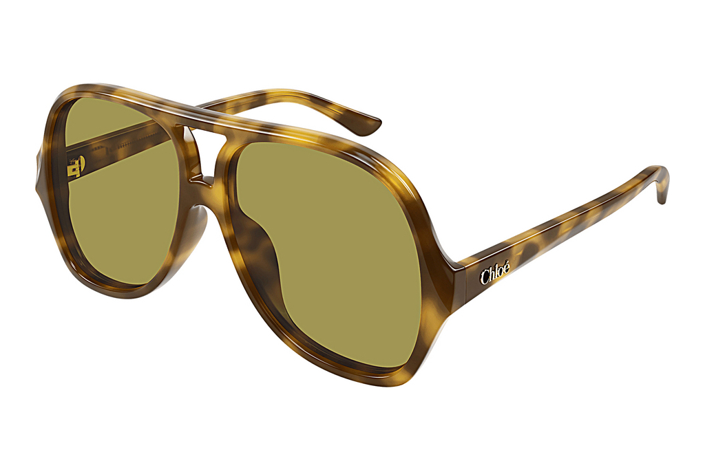 Chloé   CH0289S 003 HAVANA