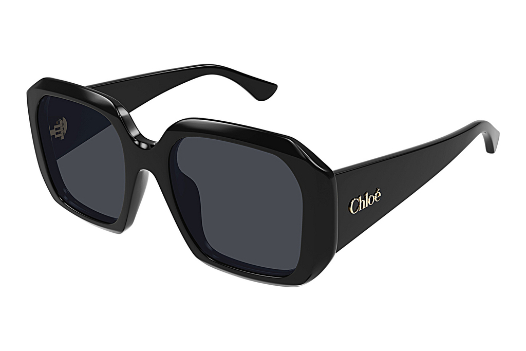 Chloé   CH0300S 001 BLACK