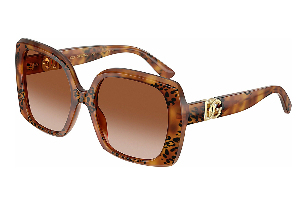 Dolce & Gabbana   DG4475 338013 Brown GradientHavana Leo