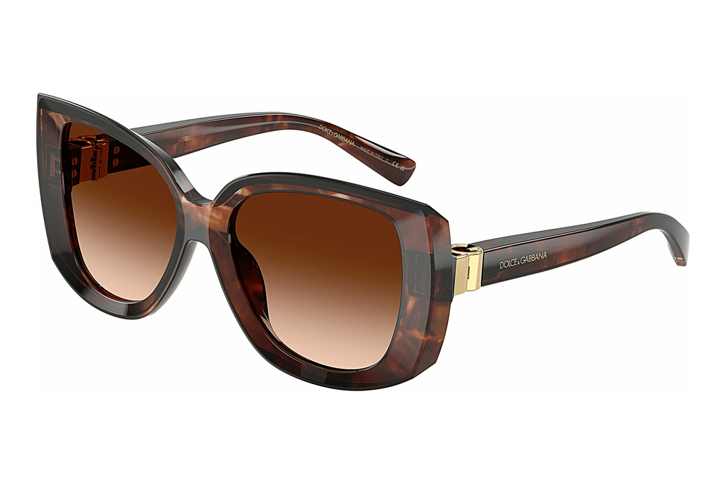 Dolce & Gabbana   DG4495 322274 Brown GradientDark Red Havana