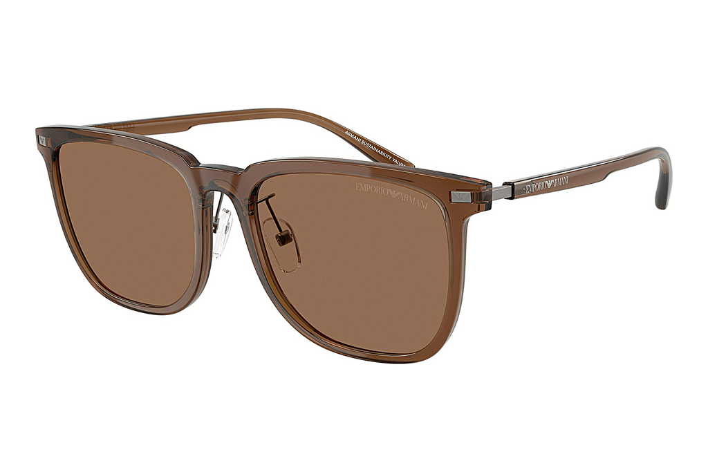 Emporio Armani   EA4255D 628273 Dark BrownShiny Transparent Brown