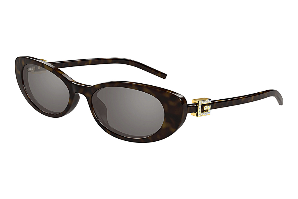 Gucci   GG1680S 003 HAVANA