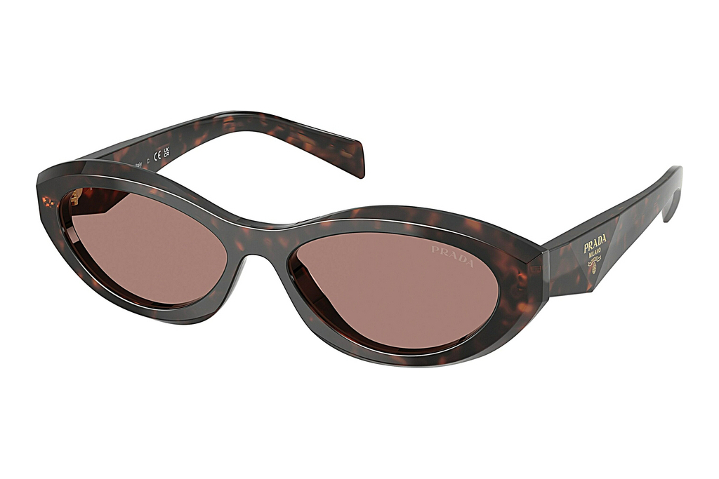 Prada   PR 26ZS 17N60B Light BrownRoot Tortoise