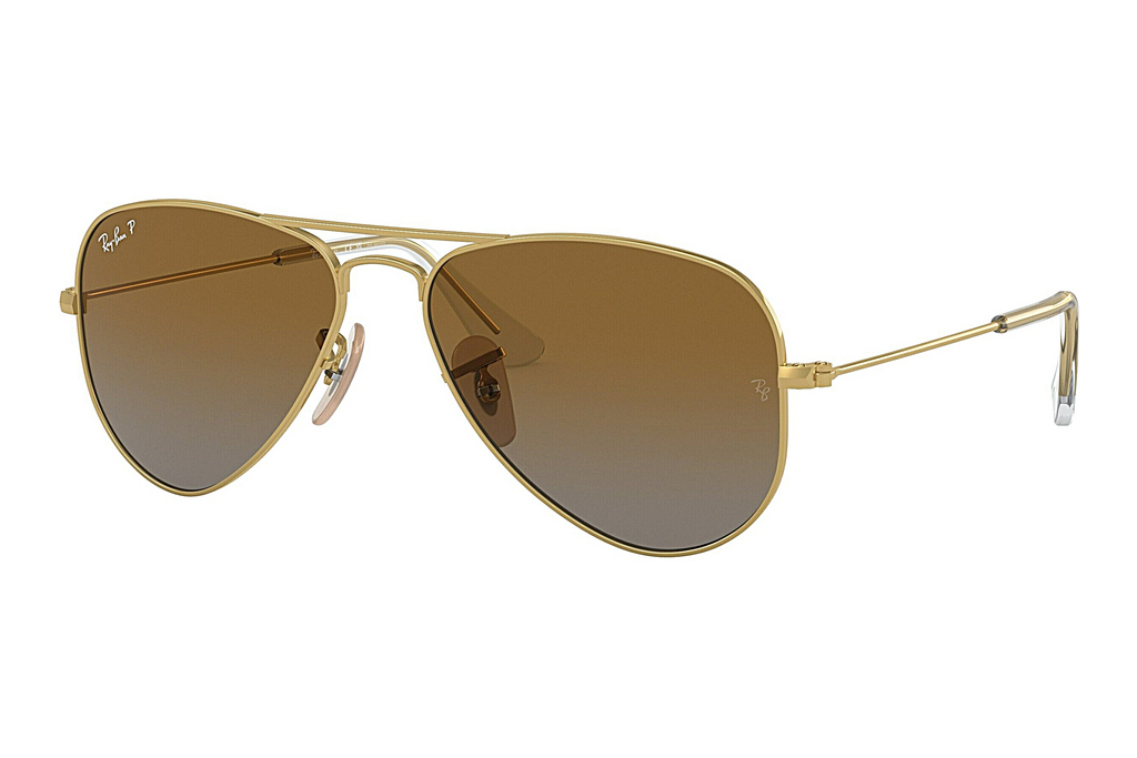Ray-Ban Junior   RJ9506S 223/T5 BrownGold