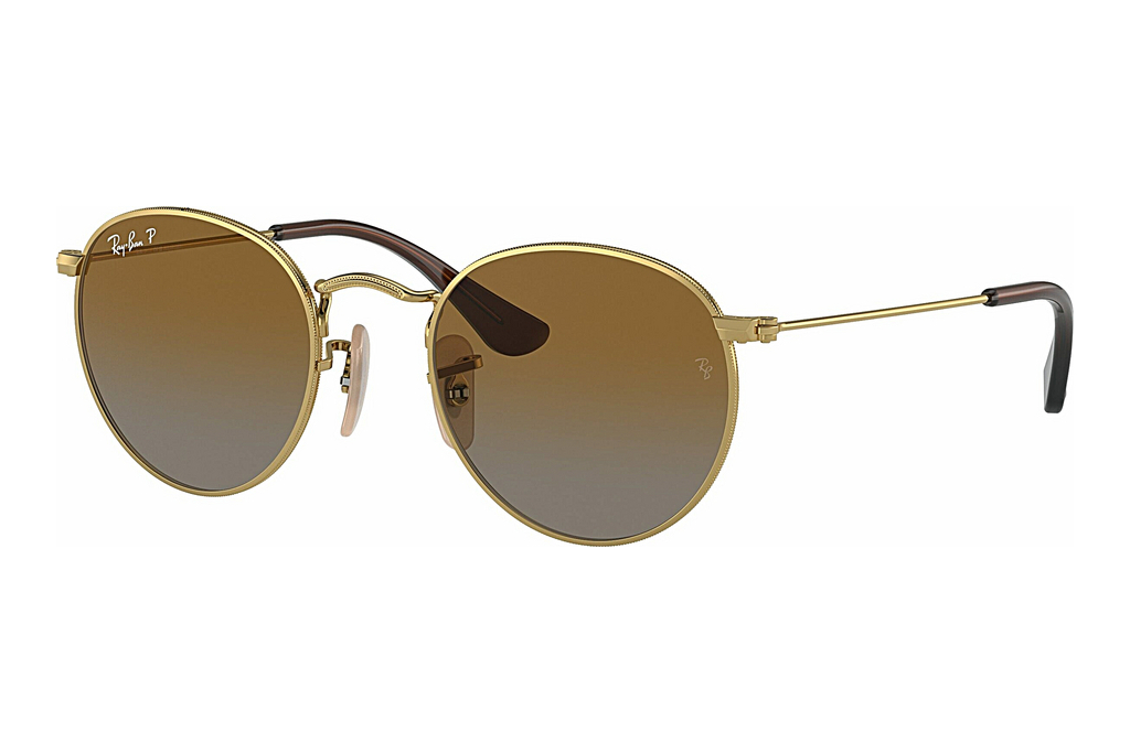 Ray-Ban Kids   RJ9547S 223/T5 BrownArista Gold