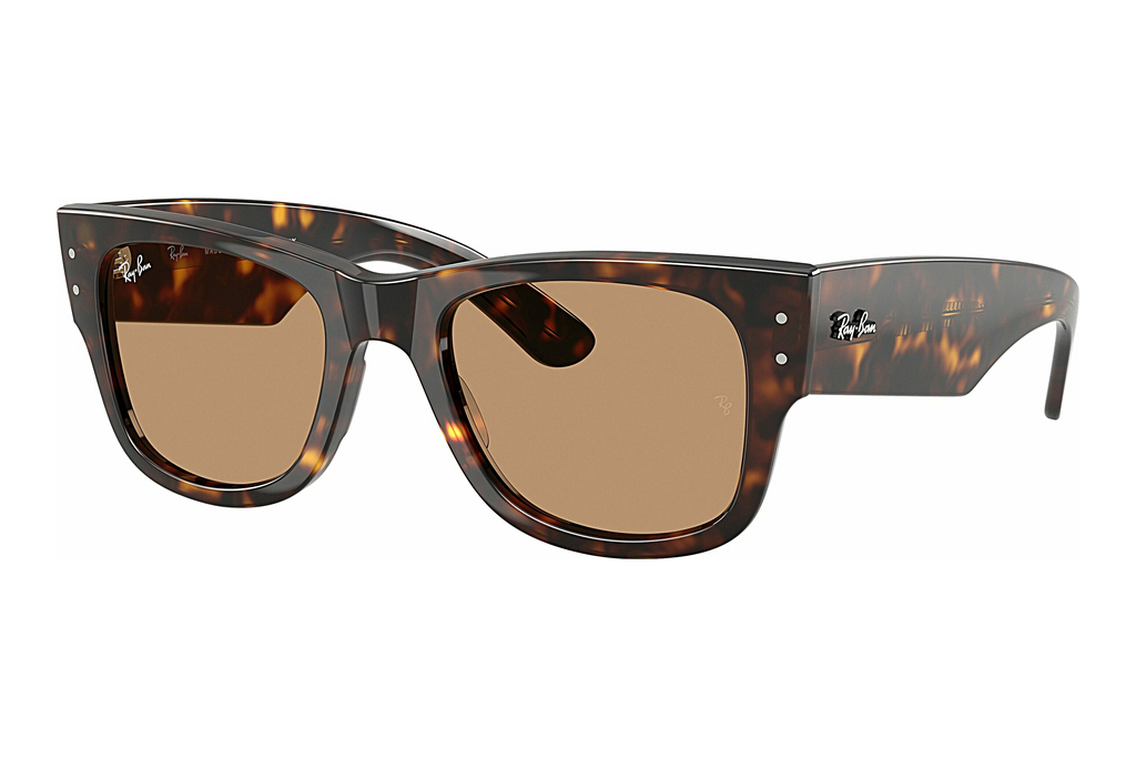 Ray-Ban   RB0840S 902/53 BrownHavana