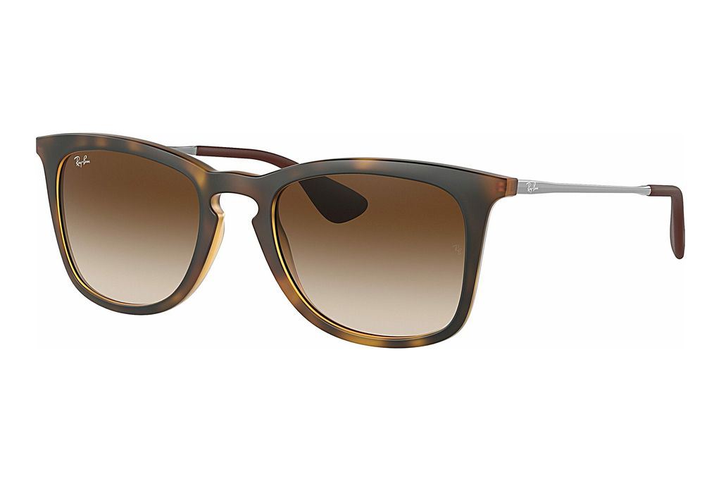 Ray-Ban   RB4221 865/13 Brown Gradient Dark BrownTortoise