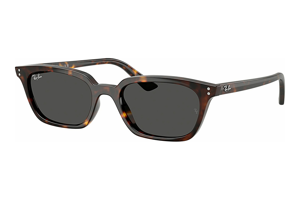 Ray-Ban   RB4456 135987 Dark GreyHavana