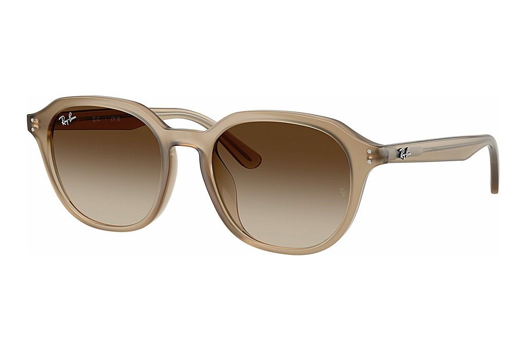 Ray-Ban   RB4459D 616613 Gradient BrownTurtledove