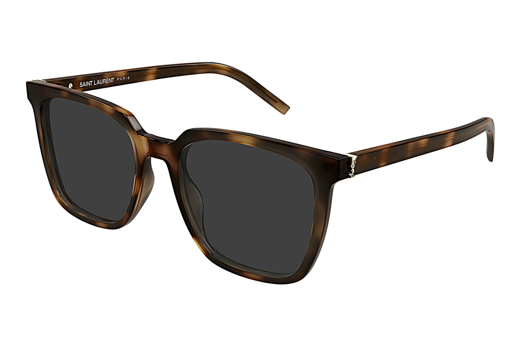 Saint Laurent   SL M146/K 003 HAVANA