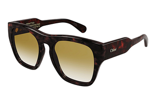 Chloé CH0149S 002 HAVANA