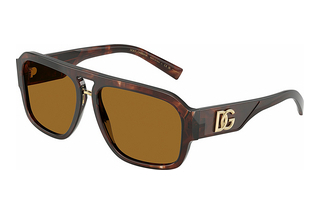 Dolce & Gabbana DG4403 322283 Bronze PolarizedDark Red Havana