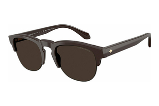 Giorgio Armani AR8238 622073 BrownBrown