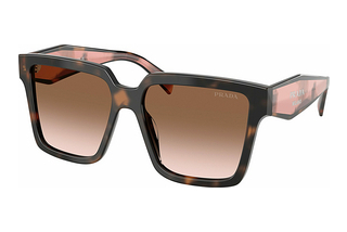 Prada PR 24ZS 23A0A6 Brown GradientMauve Tortoise