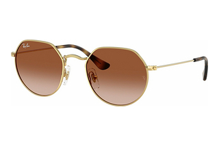 Ray-Ban Junior RJ9565S 223/13 Gradient BrownArista