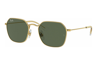 Ray-Ban Kids RJ9594S 223/71 Dark GreenArista Gold