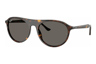 Ray-Ban RB2215 902/B1 Dark GreyHavana