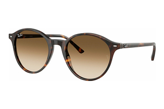 Ray-Ban RB2230 902/51 Clear Gradient BrownHavana