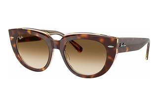 Ray-Ban RB2286 141451 Clear Gradient BrownLight Havana On Transparent Multicolor