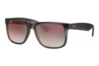 Ray-Ban RB4165 606/U0 GreyTransparent Grey
