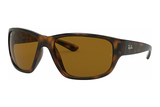 Ray-Ban RB4300 710/33