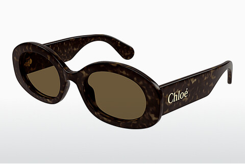 Zonnebril Chloé CH0258S 002