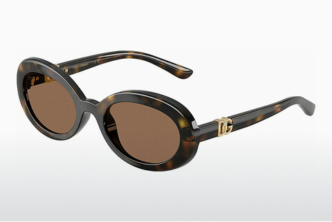 Zonnebril Dolce & Gabbana DX6007U 502/73