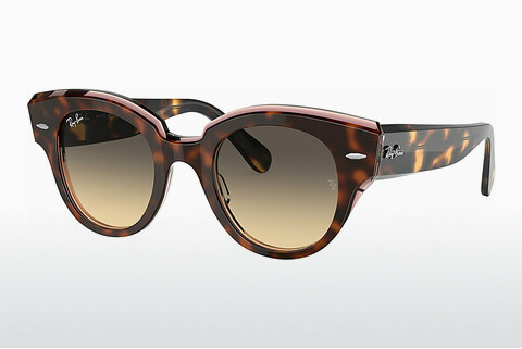 Zonnebril Ray-Ban ROUNDABOUT (RB2192 1324BG)