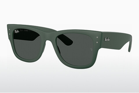 Zonnebril Ray-Ban RB4840S 665787