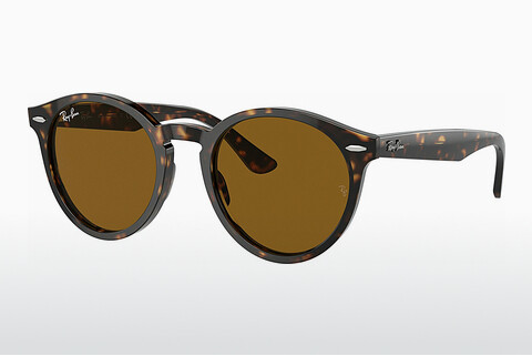 Zonnebril Ray-Ban LARRY (RB7680S 902/33)